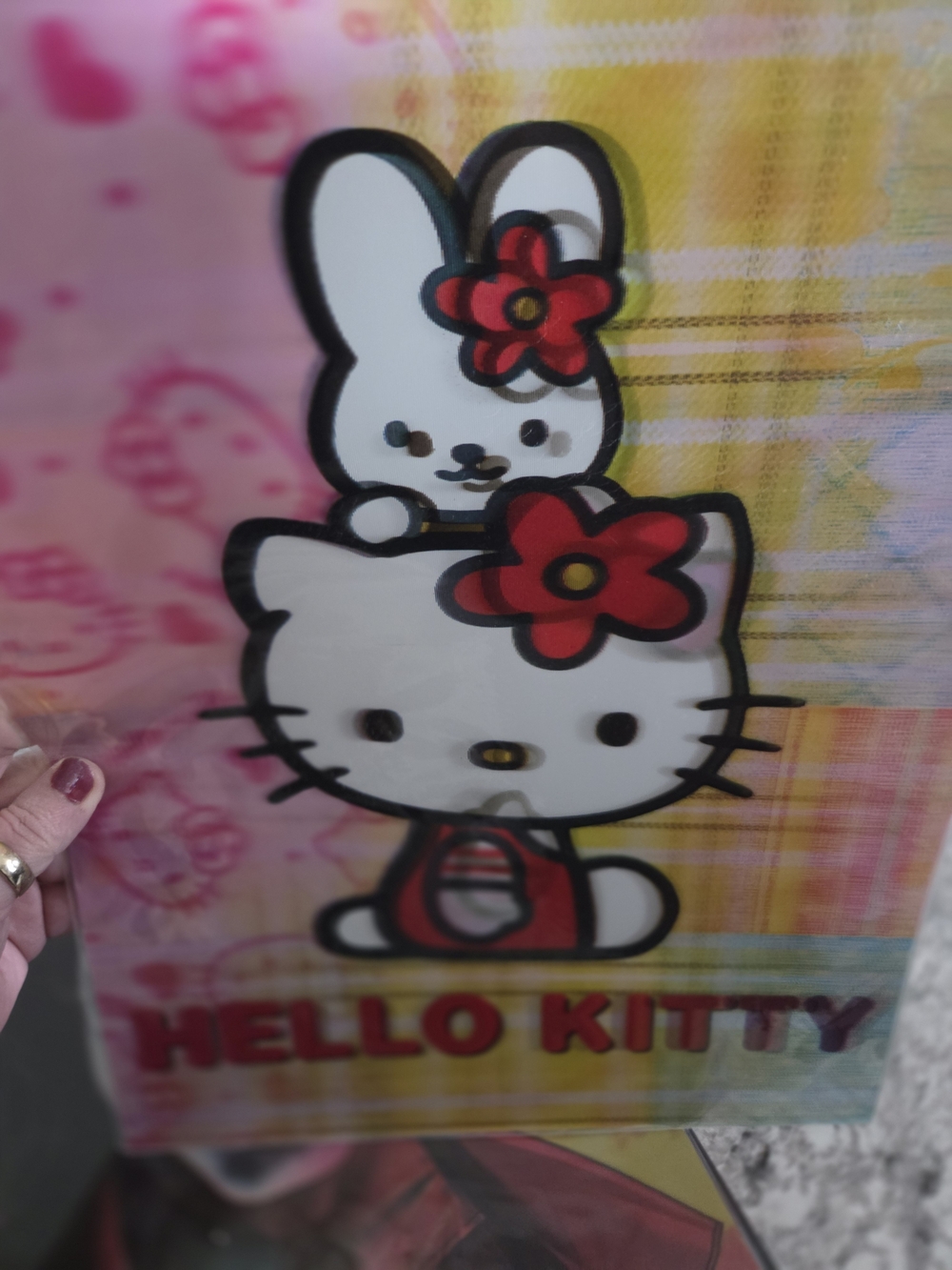 New Sealed 3D Tin Hello Kitty Poster